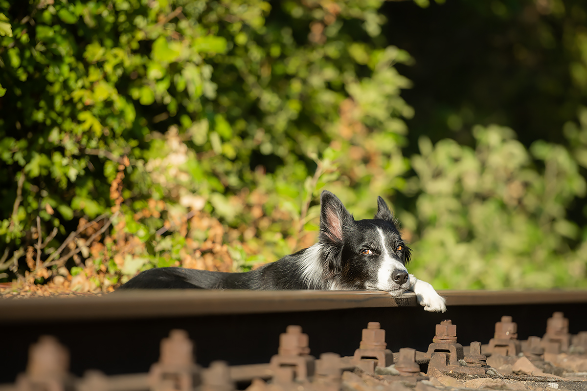 Waiting for the weekendtrain