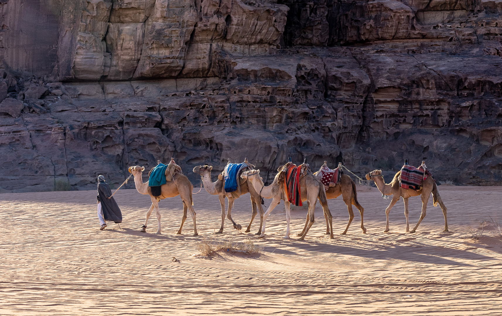 Waiting for Tourists  