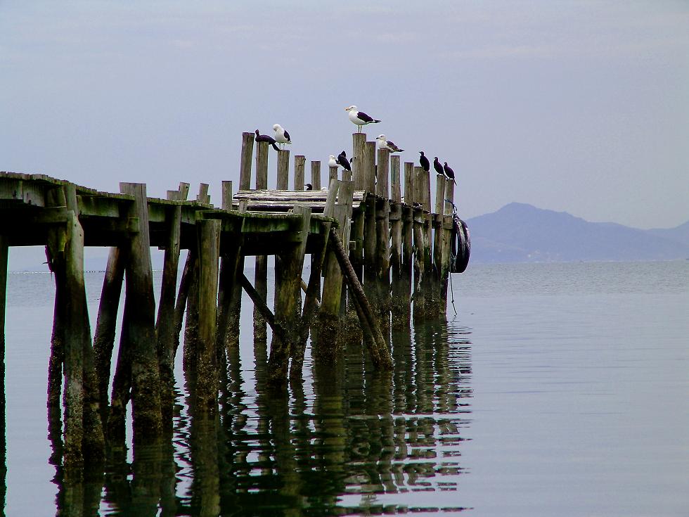 Waiting for wind