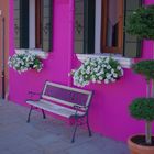 ... waiting Godot in Burano ... over bench!