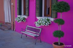 ... waiting Godot in Burano ... over bench!