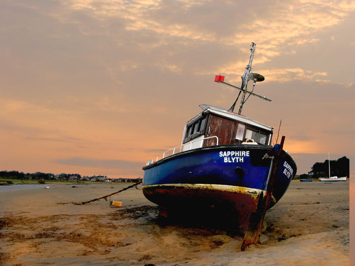 waiting in the estuary