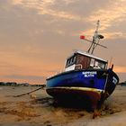 waiting in the estuary