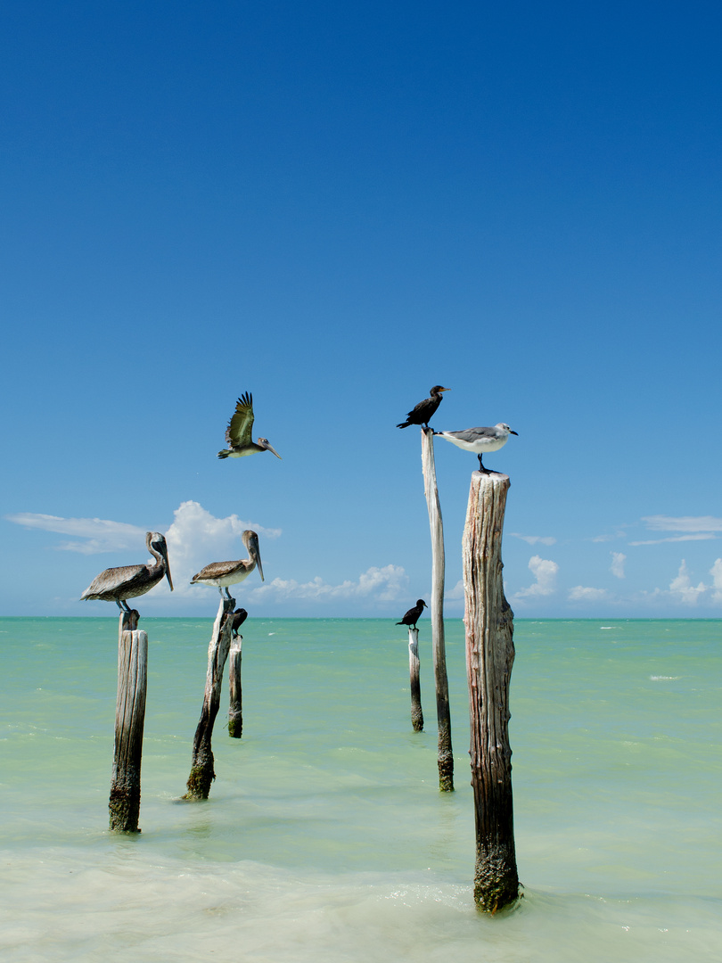 waiting room for fishing