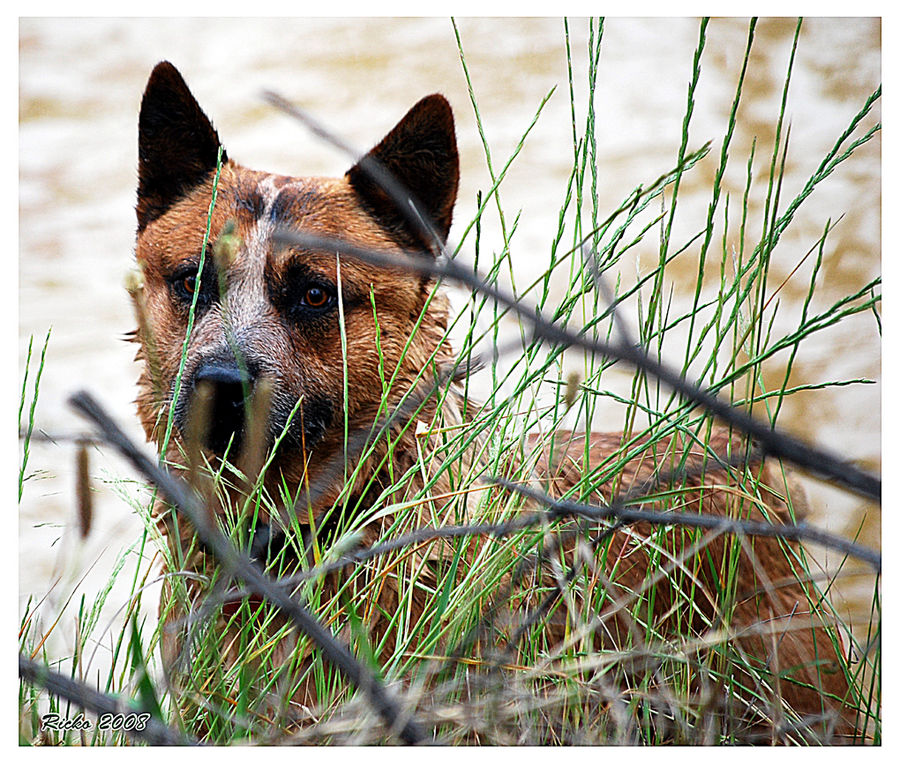 Waiting......You can not see me?