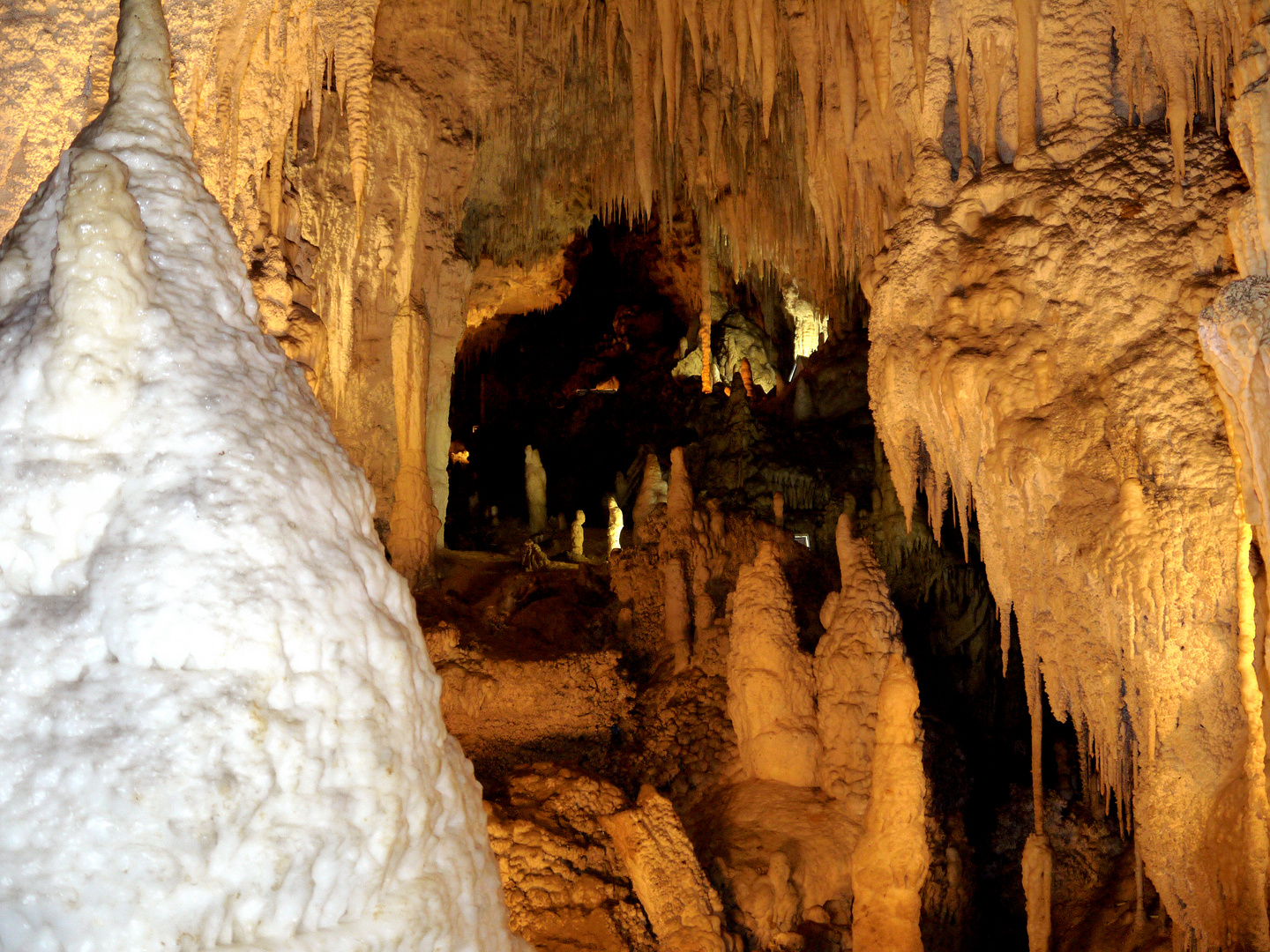 Waitomo Caves!