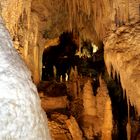 Waitomo Caves!