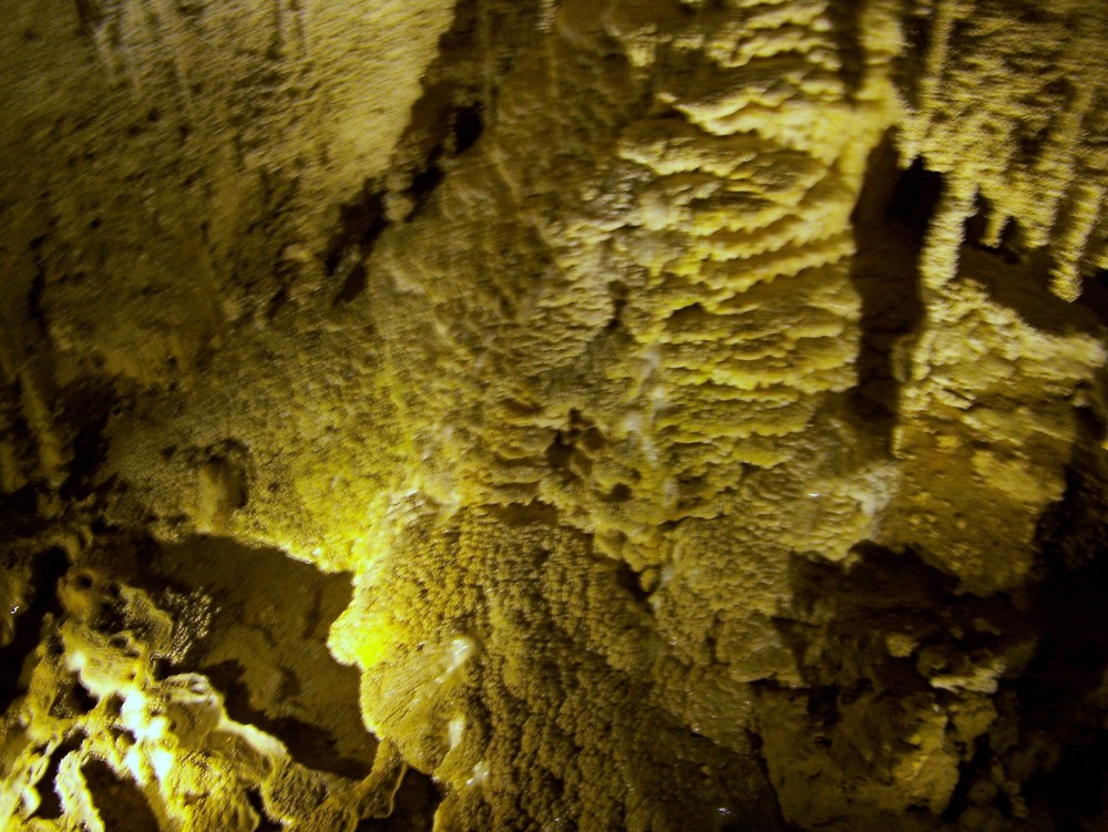 Waitomo Caves