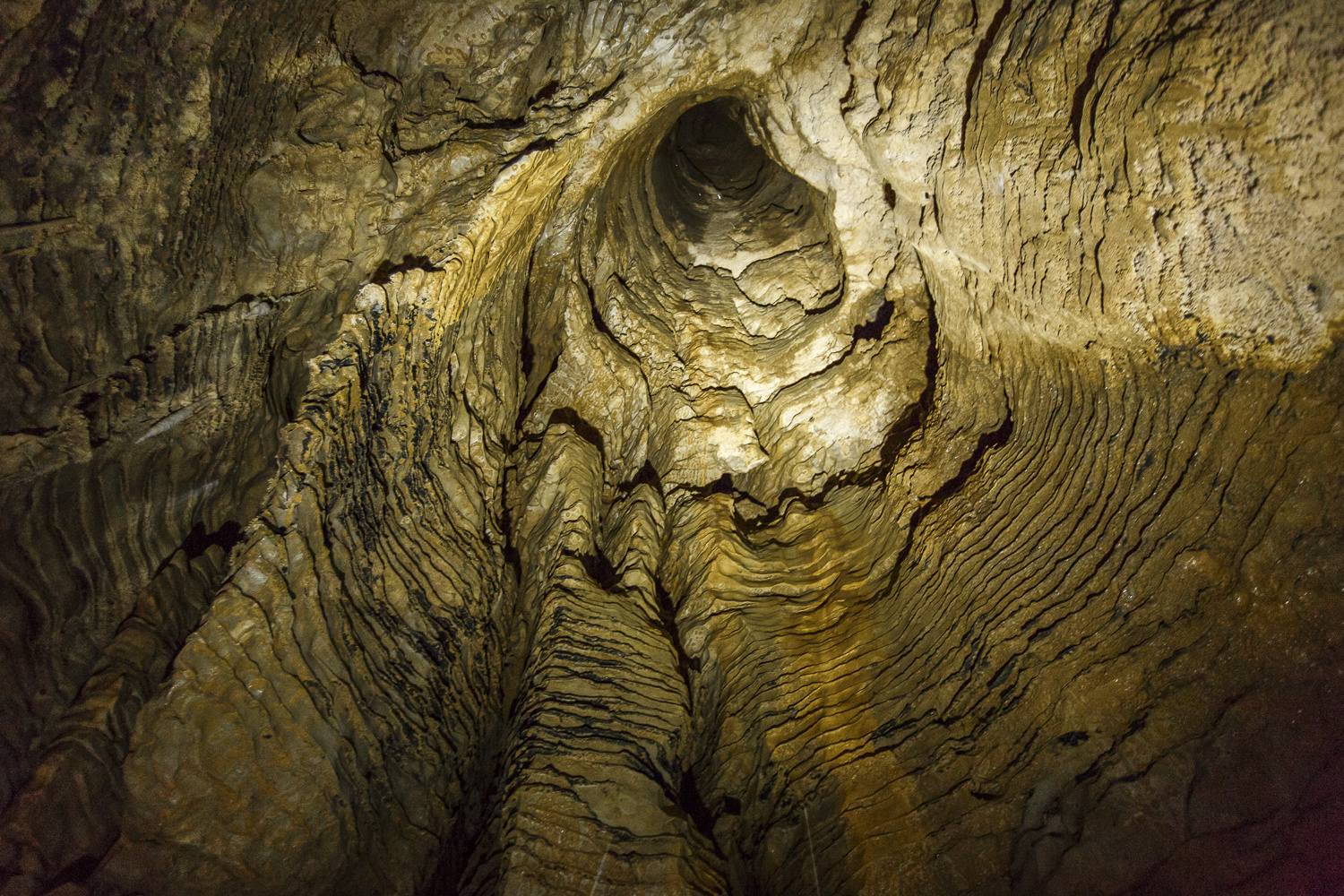 Waitomo Caves, Neuseeland