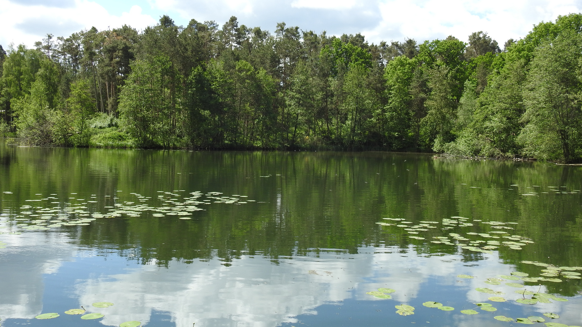 Wajd,Wasser,Natur.