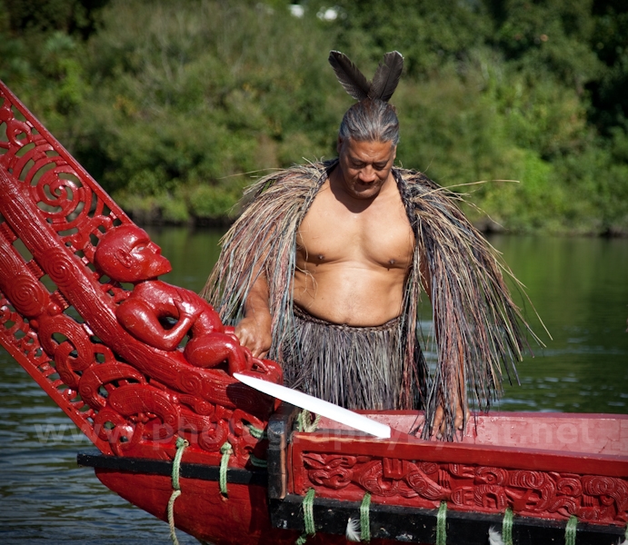 waka regatta in NZ