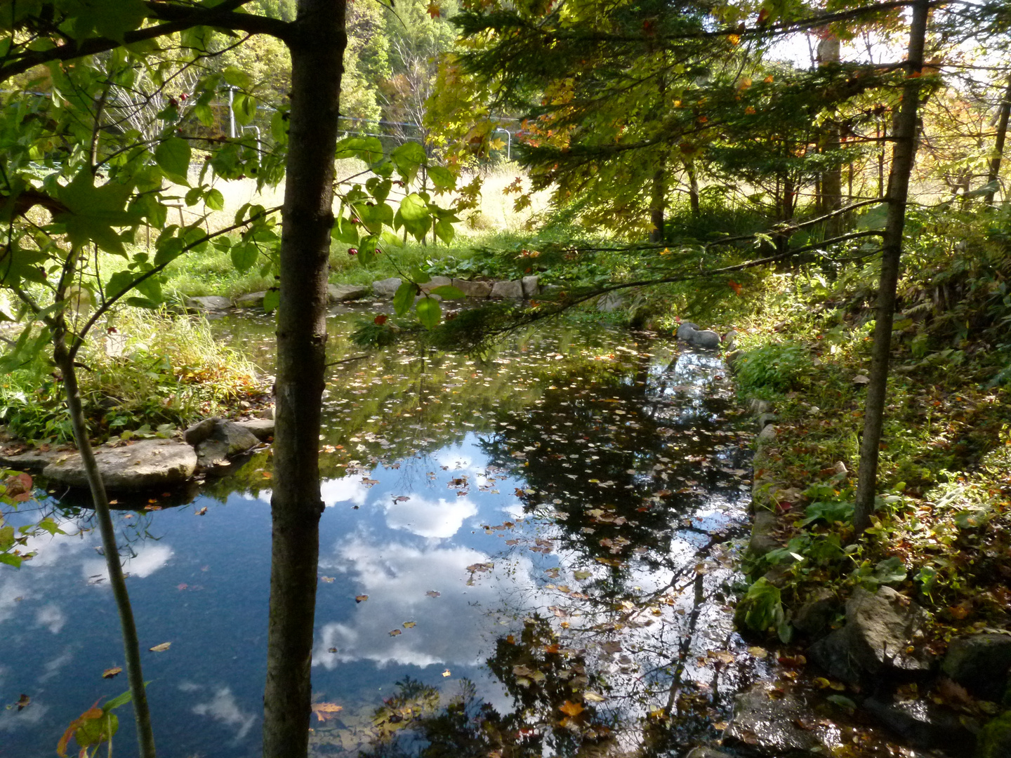 Wakamatsu spring