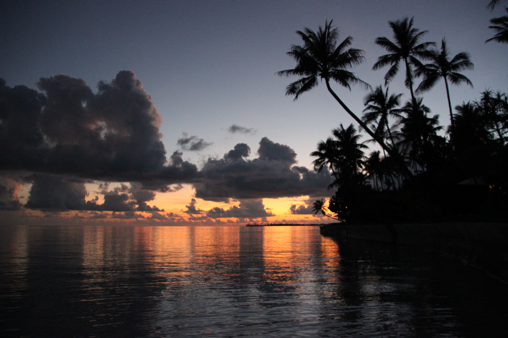 Wakatobi