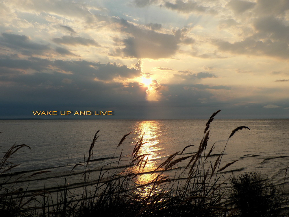 Wake up and Live