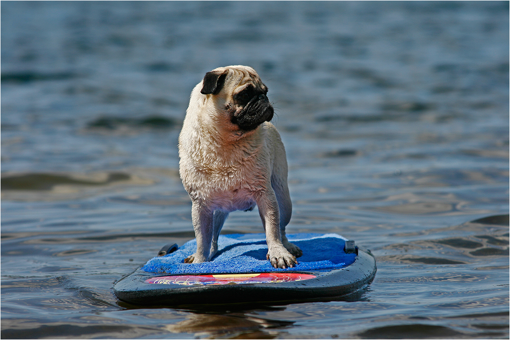 WAKEBOARDING