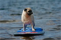 WAKEBOARDING