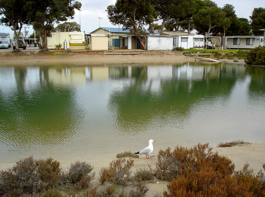 Wakefield Lagoon, 3