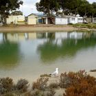 Wakefield Lagoon, 3