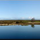 Wakefield Lagoon, 4