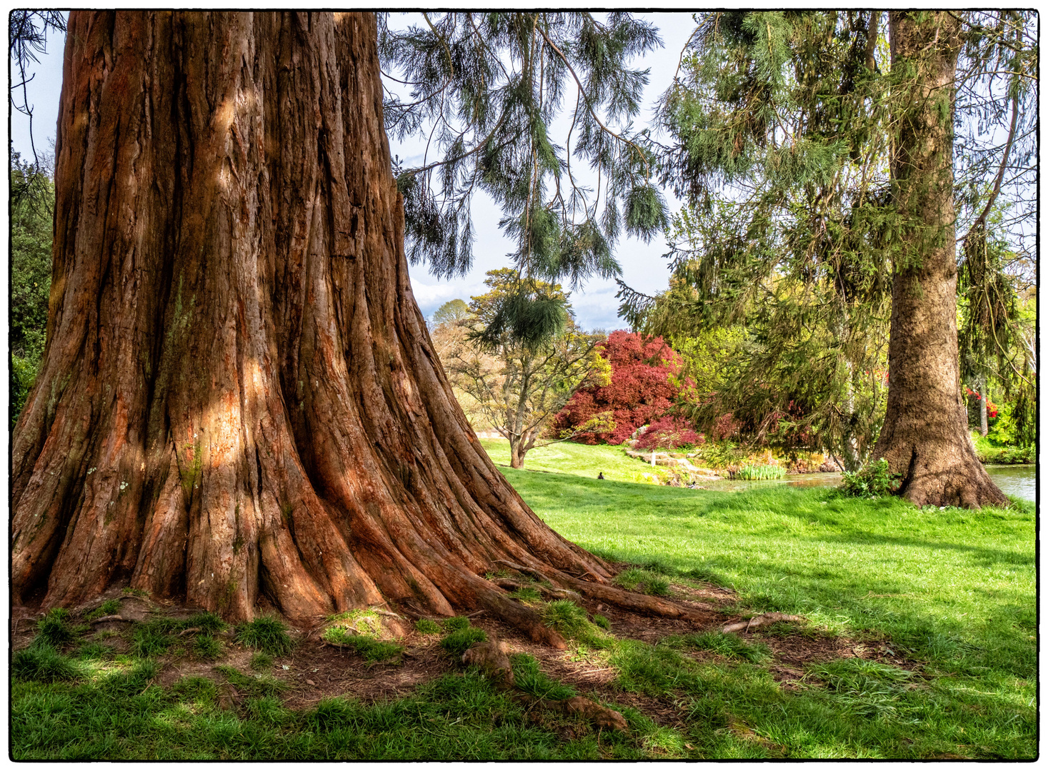 Wakehurst Garden