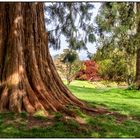 Wakehurst Garden