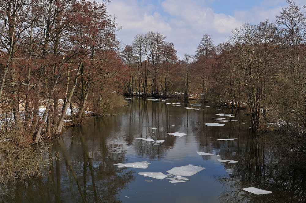 Wakenitz – Ende der Eiszeit 02