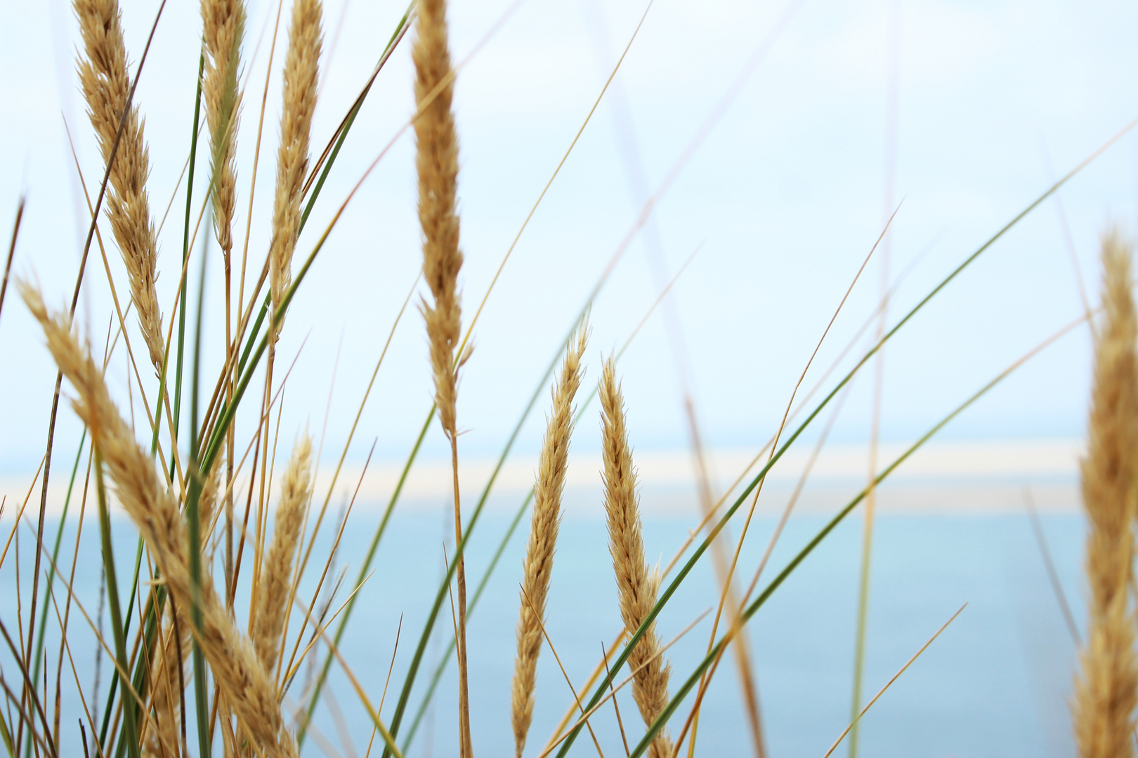 Waking in the wind