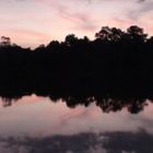 Waking up in Angkor Wat