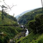 Wakkella Falls, I