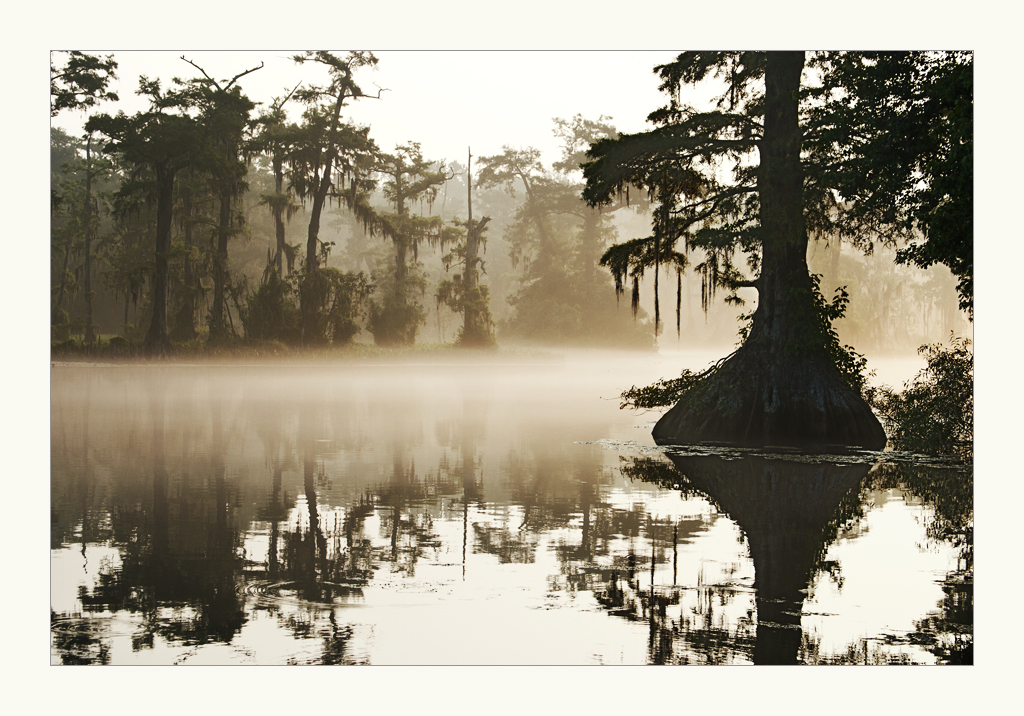 Wakulla Springs