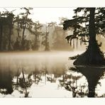 Wakulla Springs