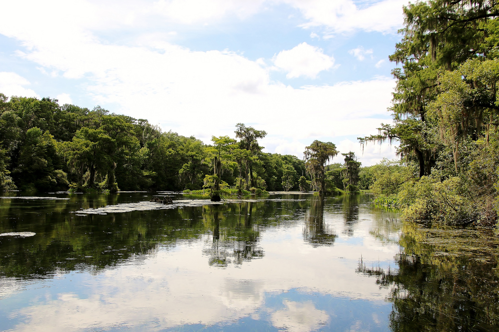 Wakulla Springs