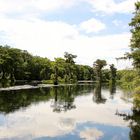 Wakulla Springs