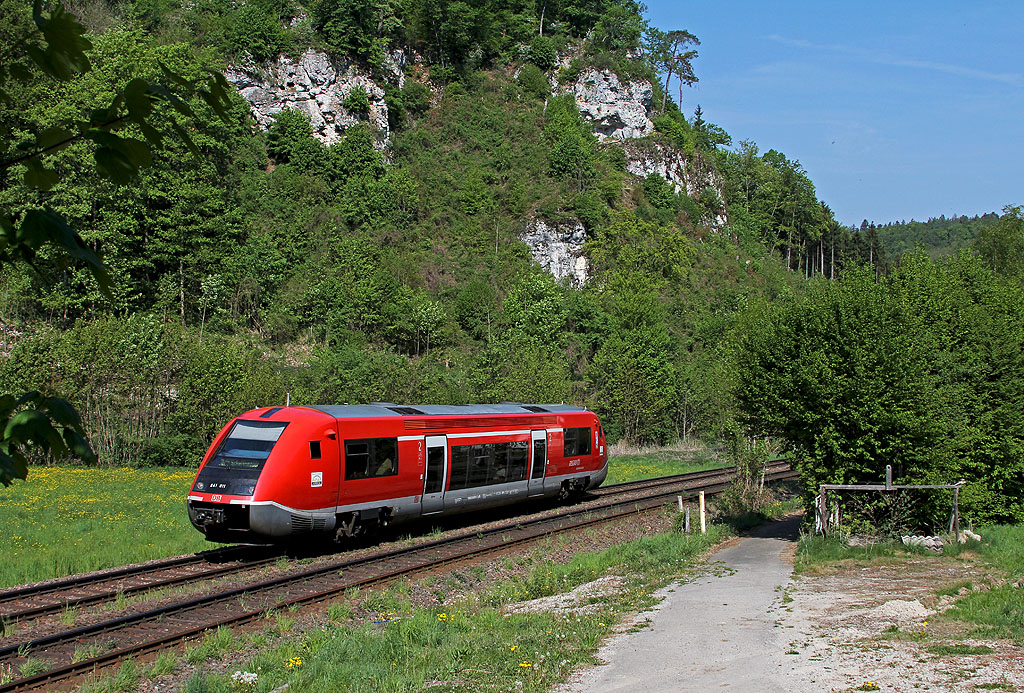 Wal auf der Hochrheinbahn