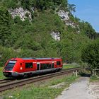 Wal auf der Hochrheinbahn