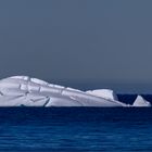 Wal in der Antarktis