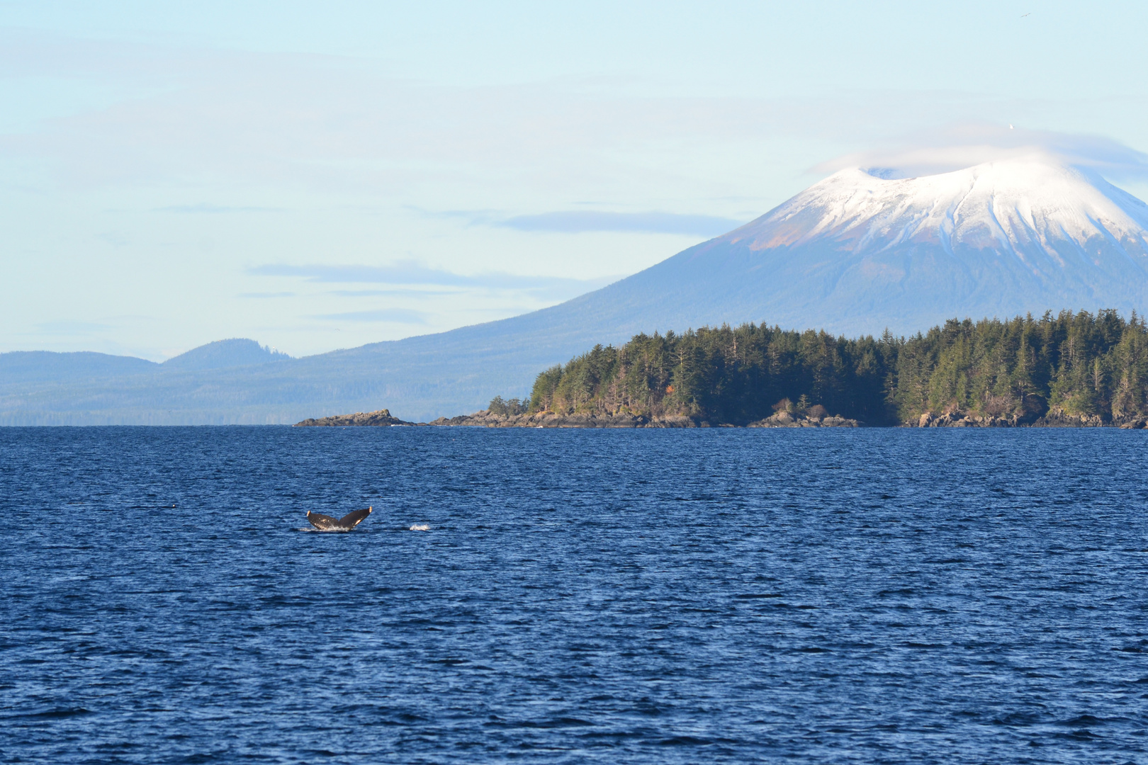 Wal mit Mount Edgecumbe in Alaska