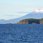 Wal mit Mount Edgecumbe in Alaska