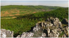 Walberla-Blick nach Leutenbach