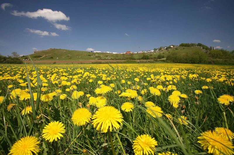 Walberla-Kirchweih 2006