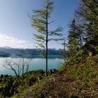 Walchensee