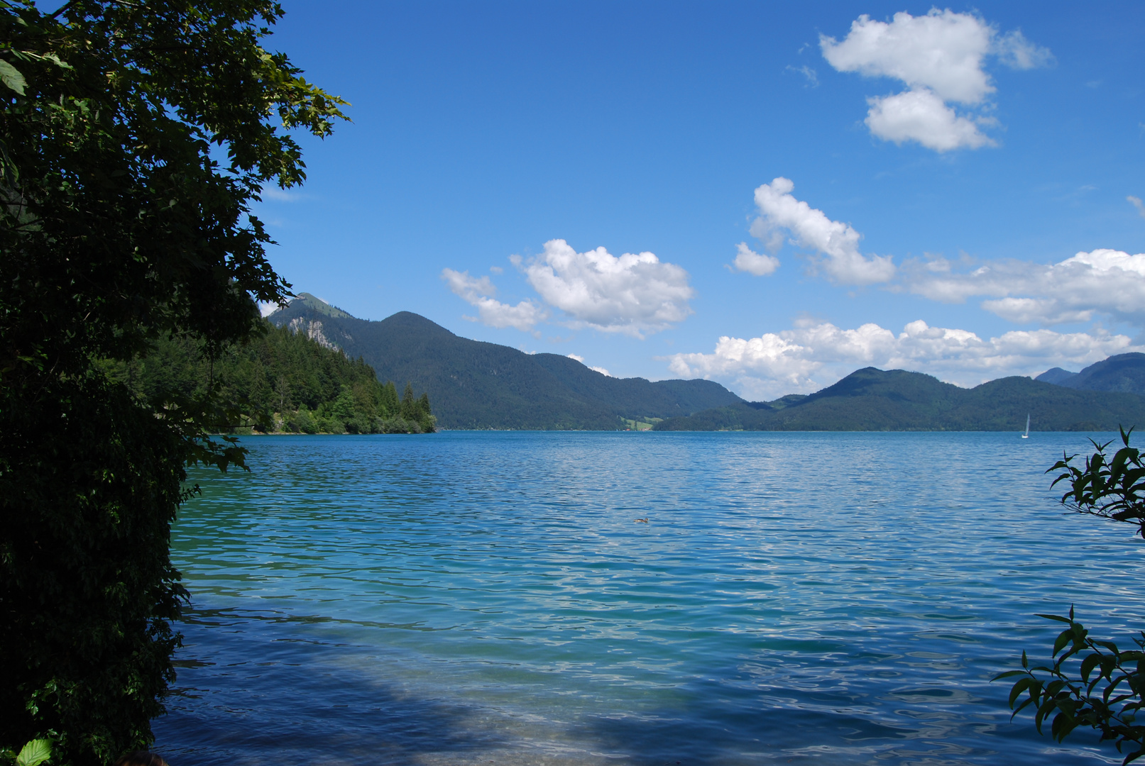 Walchensee