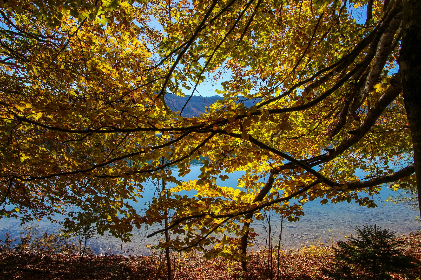 Walchensee Eindrücke