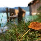 Walchensee II