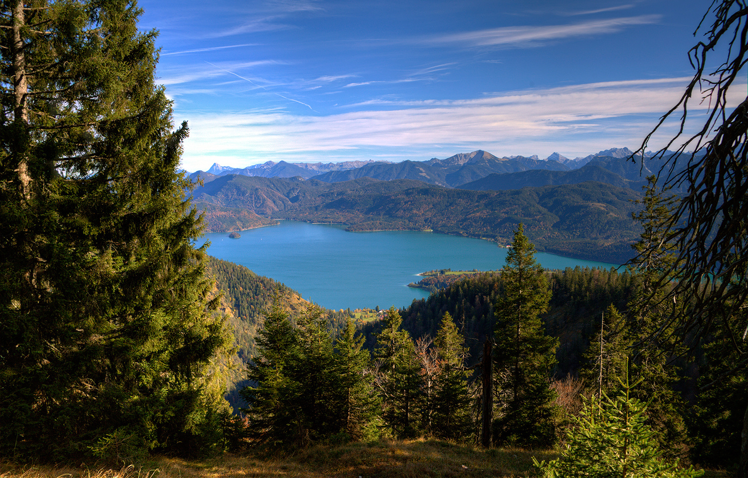 Walchenseeblick