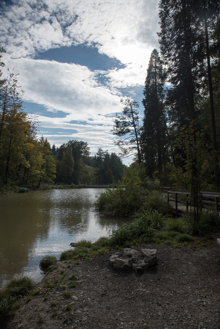 Walcheweiher, Winterthur