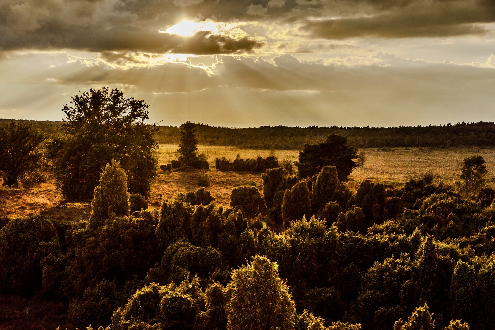 Walchoder Heide an Niederrhein