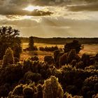 Walchoder Heide an Niederrhein