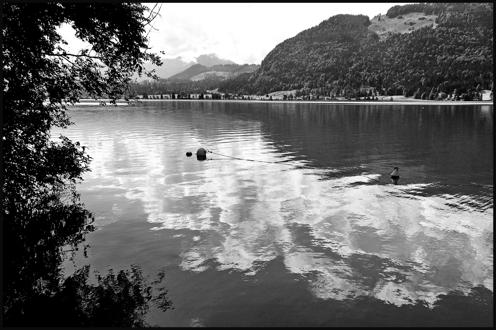 Walchsee