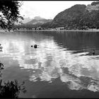 Walchsee